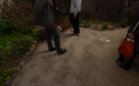 IMGP0933.JPG