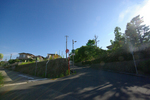 n2.jpg