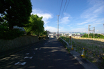 n3.jpg